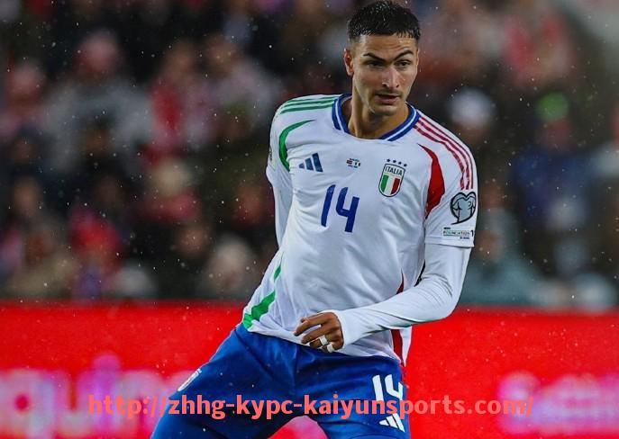 ky开云体育-意甲球队队标设计风格及其文化象征意义研究