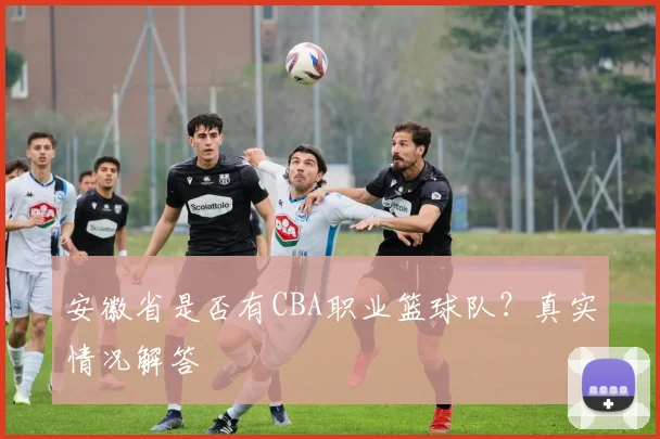安徽省是否有CBA职业篮球队？真实情况解答