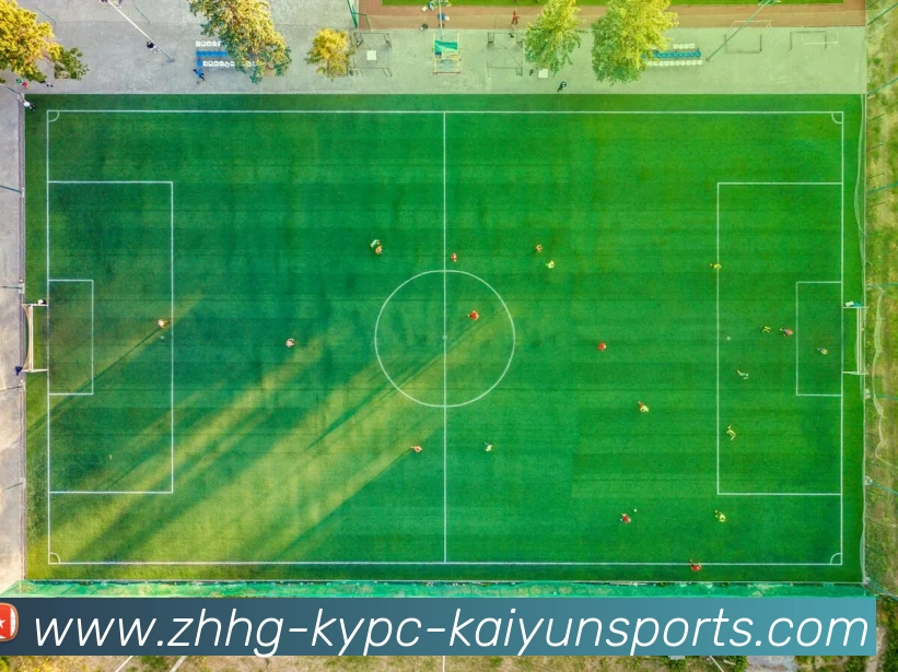 多媒体互动体验