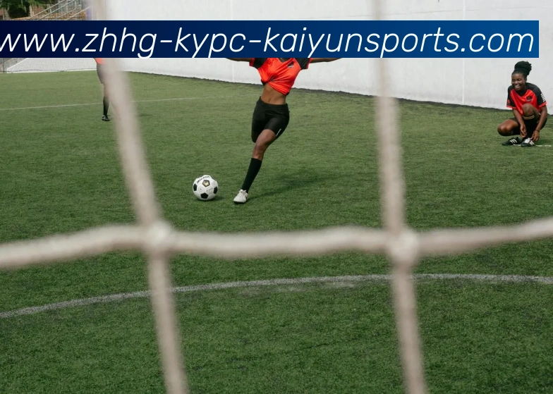 开云体育APP 高清赛事图