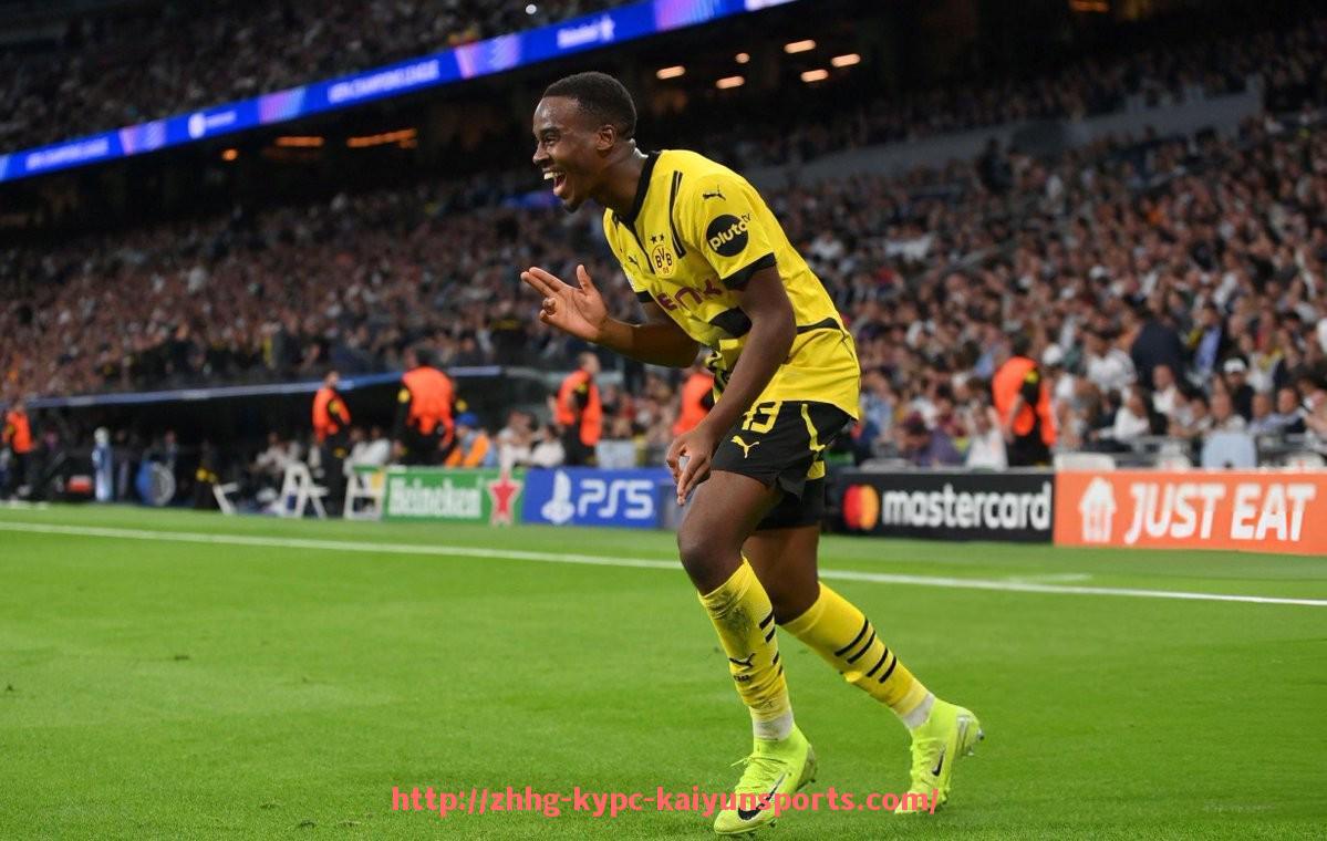 ky开云体育-法甲直播平台市场份额及用户行为研究